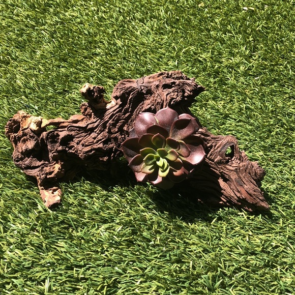 Driftwood art for your desk or table by local Austin artisan - Picture 8 of 10